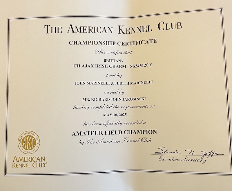 Lucky, retrieving a duck